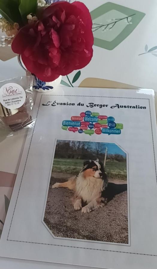L'Evasion Du Berger Australien Couvin Exterior foto